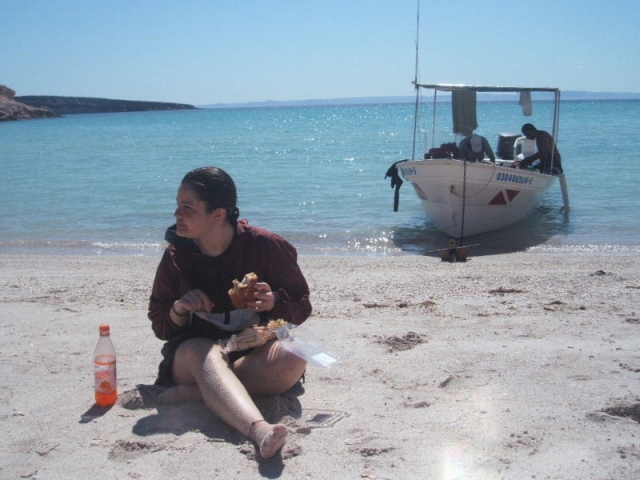 Una picnic en la playa